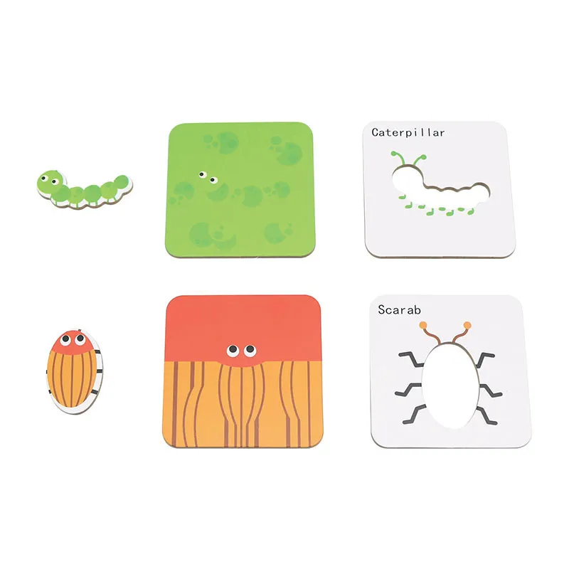 Jeu Devinez qui je suis Insectes ANGL - 36m+-0