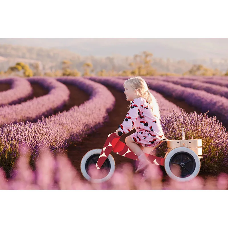 Tricycle 3en1 Original Bleu - 12m+-5