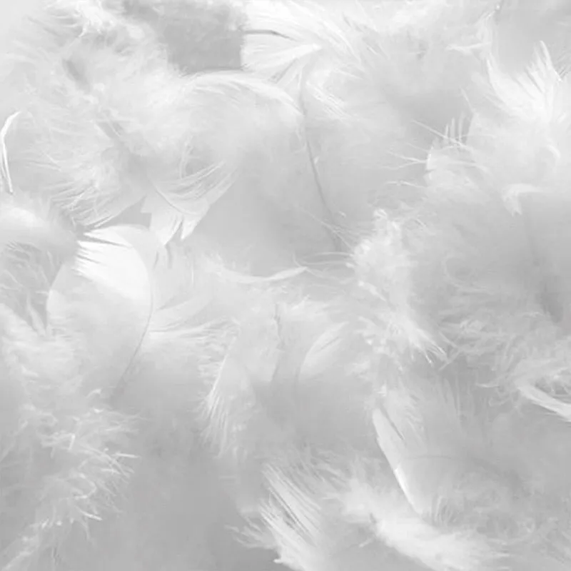 2 Oreillers Duvet & Plumes Natura-2