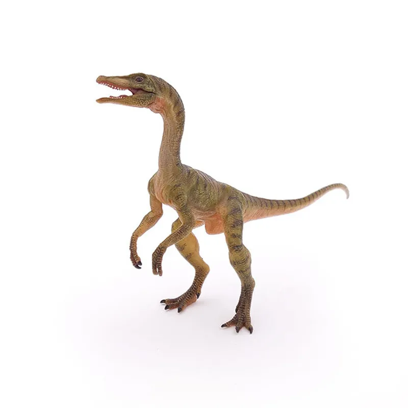 Compsognathus - 17x12cm-1