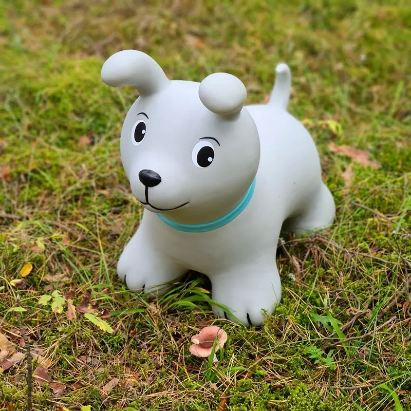 Chien sauteur Gris - 12m+-2