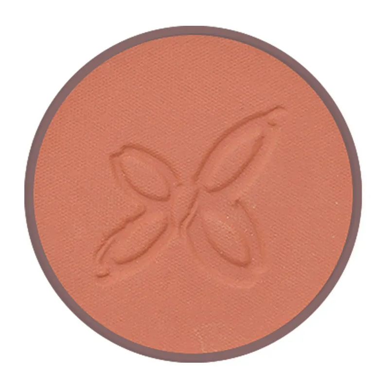 Fard à Joues BIO/VEGAN 01 Bois de Rose - 4,5g-1