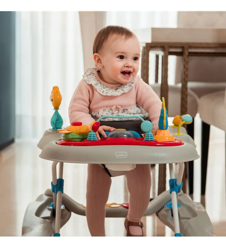 Trotteur Dandelion Gris - 6m+-7