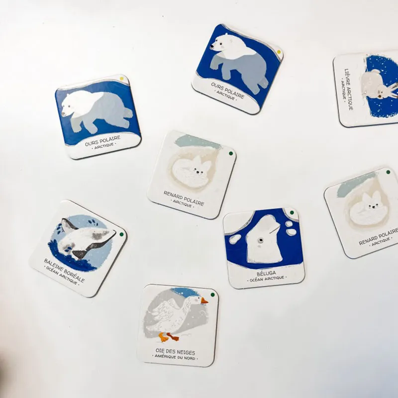 Mémo + livre Protégeons les animaux La banquise - 4+-5