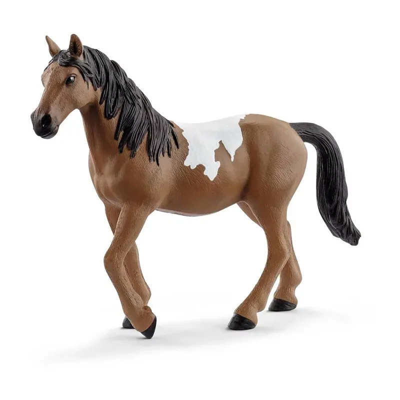 Jument Pinto - Horse Club-0