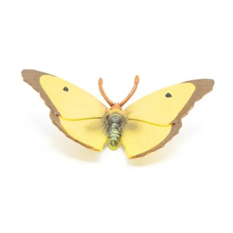 Papillon Souci - 5x7cm-1