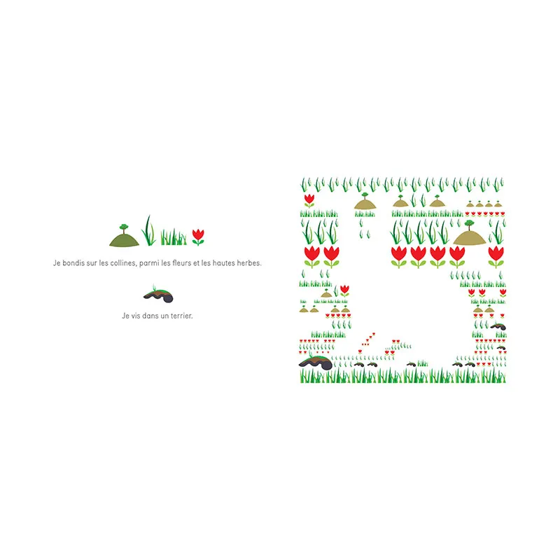 Devine les animaux - 3+-2