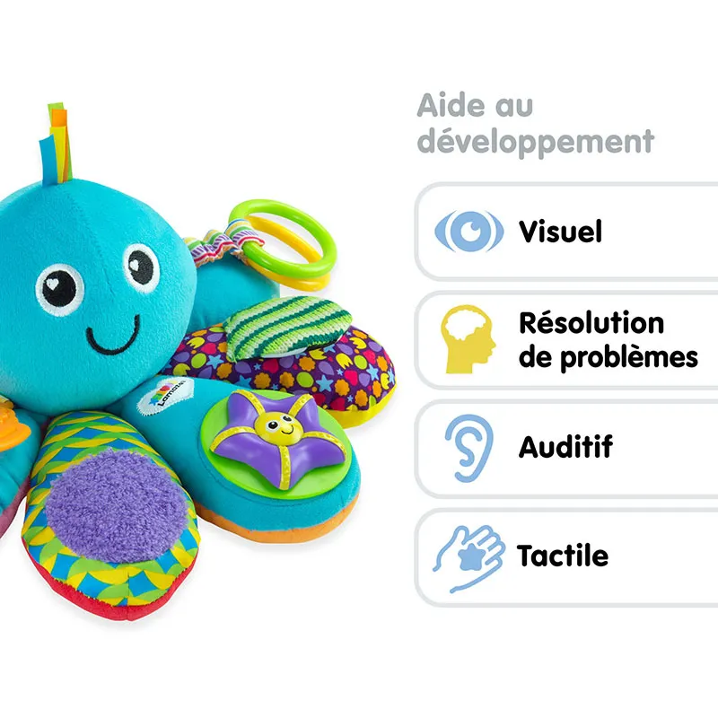 Pieuvre multi-activités - 6m+-6