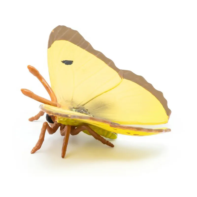 Papillon Souci - 5x7cm-0