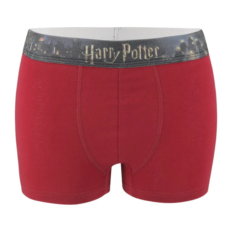 4 Boxers Homme Harry Potter - Gris-4