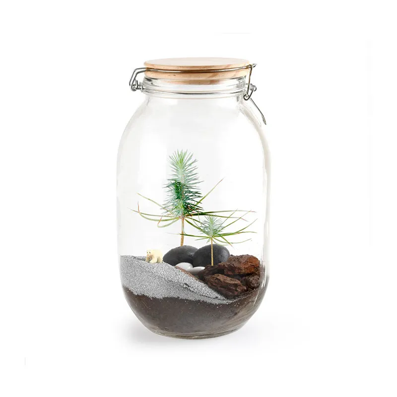 Terrarium DIY Sapin de Noël - 16x27x16cm-2