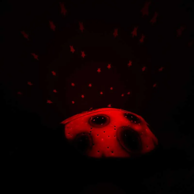 Veilleuse Twilight Coccinelle Rouge/Noir - 21x11x28cm-8