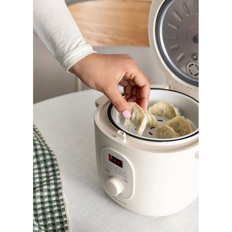 Cuiseur à riz électrique 400W - 2L-1