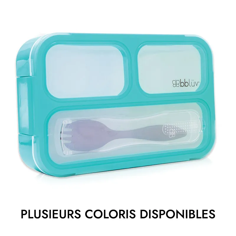 Lunch Box Bento-1