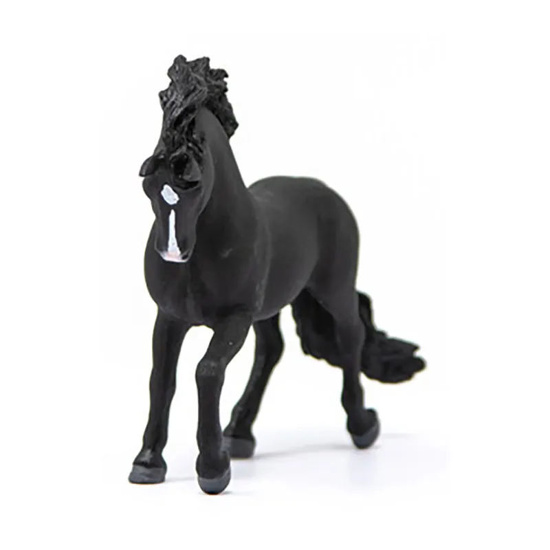 Étalon pure race espagnole - Horse Club-3