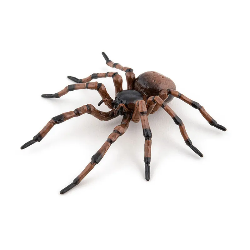 Araignée commune - 6,3x6,1x2,4cm-0