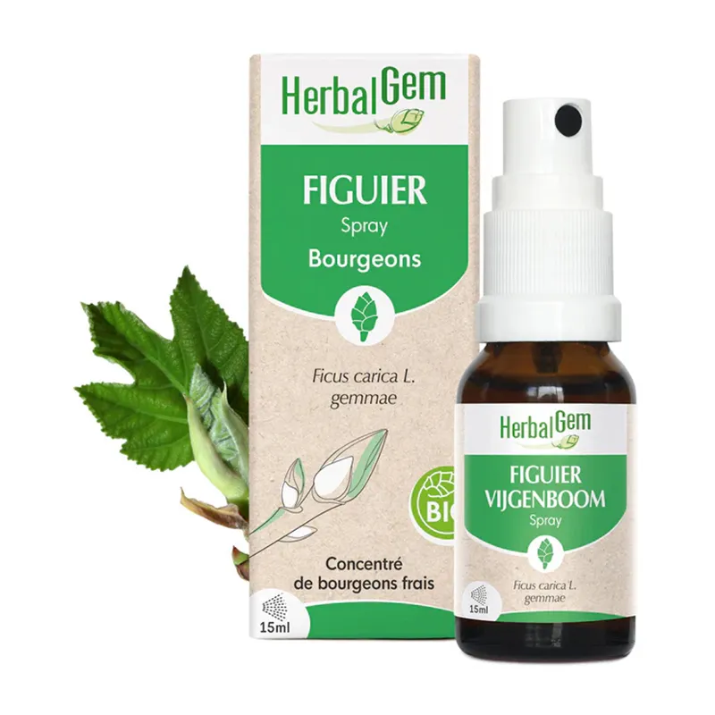 Spray Figuier Bourgeons BIO - 15ml-0