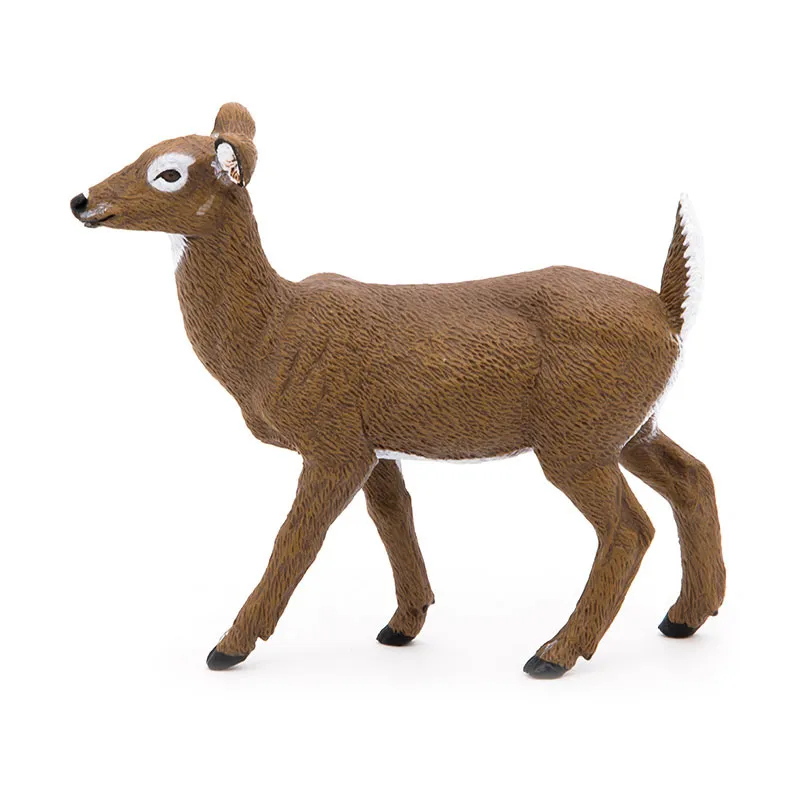Biche de Virginie - 3x10,2x8,3cm-4