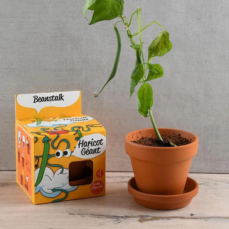 Pot de culture avec coupelle - Haricot Géant-0