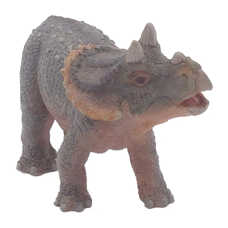Jeune tricératops - 9,7x6,3cm-4