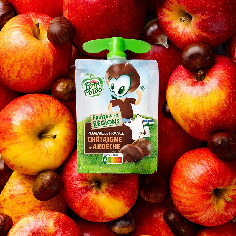 12 Compotes Gourdes Fruits de nos Régions Pomme Châtaigne d'Ardèche - 12x90g-1