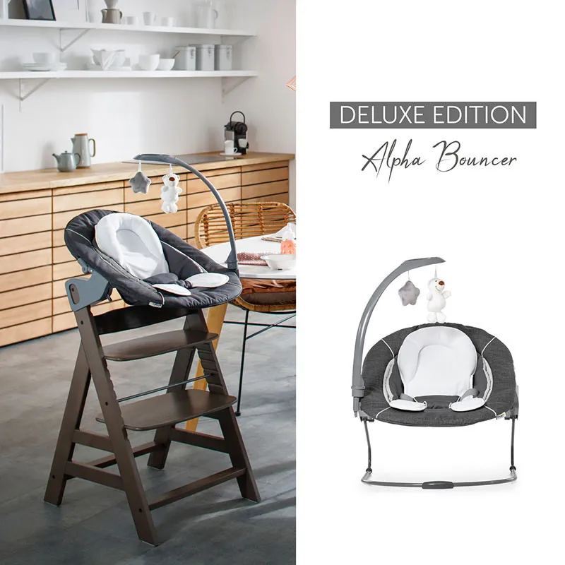 Transat Alpha Bouncer 2en1 Deluxe Gris - 0m+-13