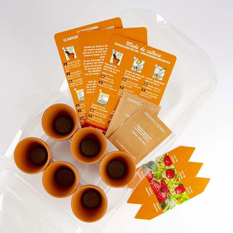 Mini serre + 6 pots - Fraisiers-3
