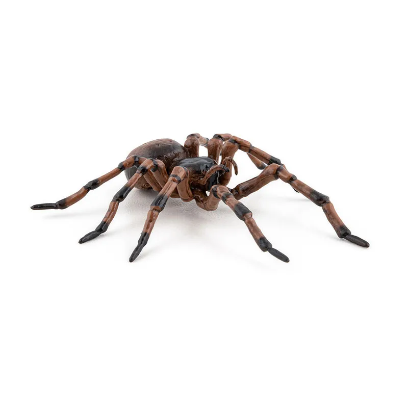 Araignée commune - 6,3x6,1x2,4cm-3