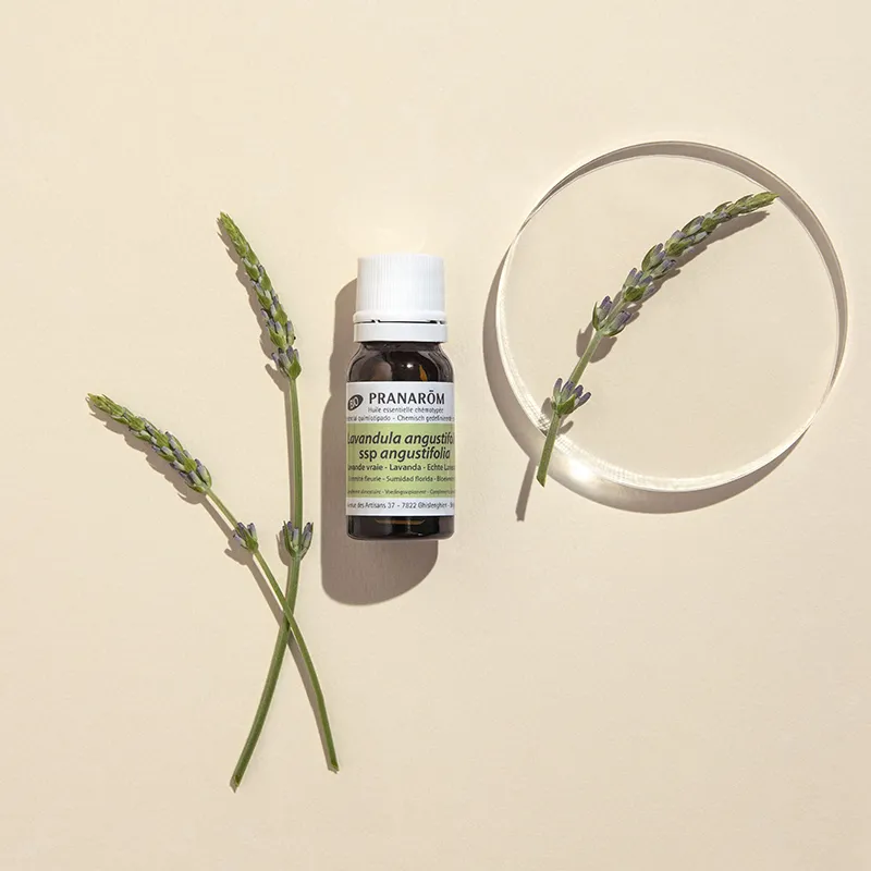 Huile essentielle Lavande Vraie BIO - 10ml-1