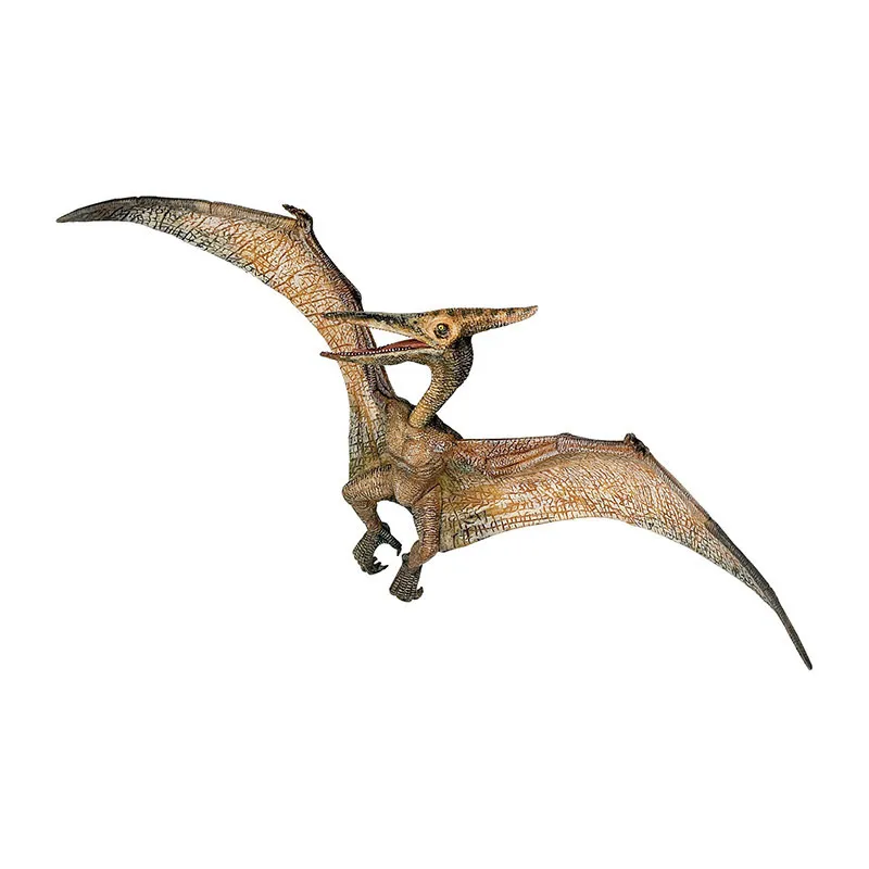 Ptéranodon - 23x23cm-4