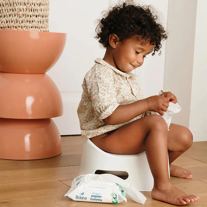 6 Paquets de Lingettes papier toilette - 6x54-2
