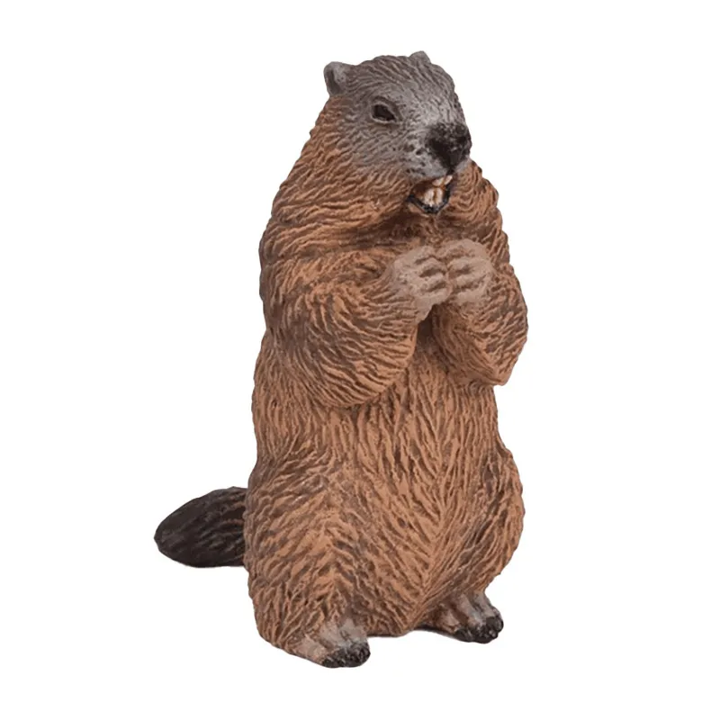 Marmotte - 3x5cm-0