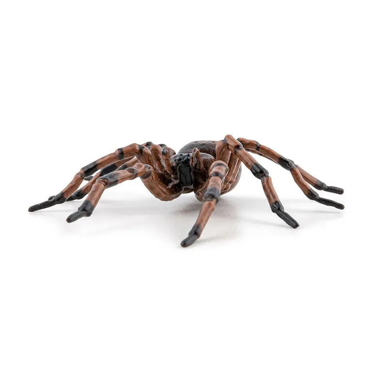 Araignée commune - 6,3x6,1x2,4cm-1