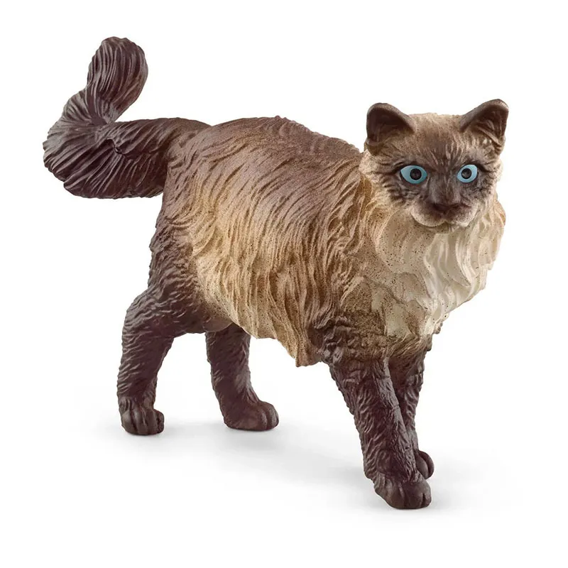 Chat Ragdoll - Farm World-0