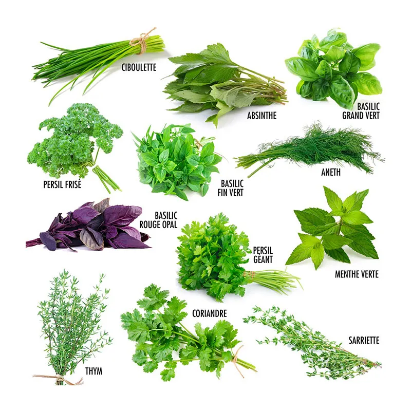 Coffret de graines à planter - 52 Sachets-7