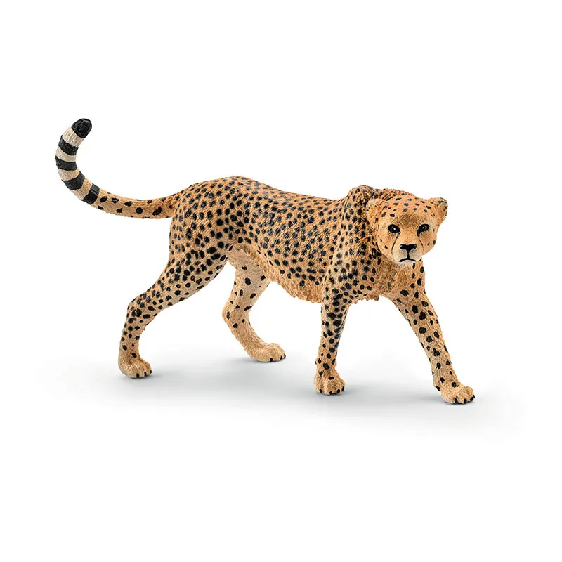 Guépard femelle - Wild Life-0