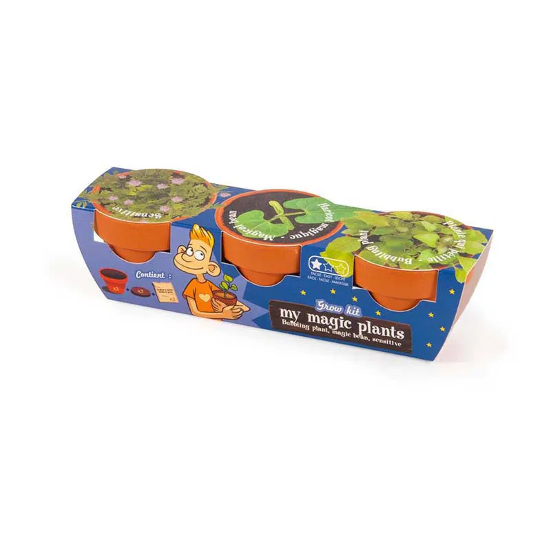 Trio de Pots - Plantes magiques-2