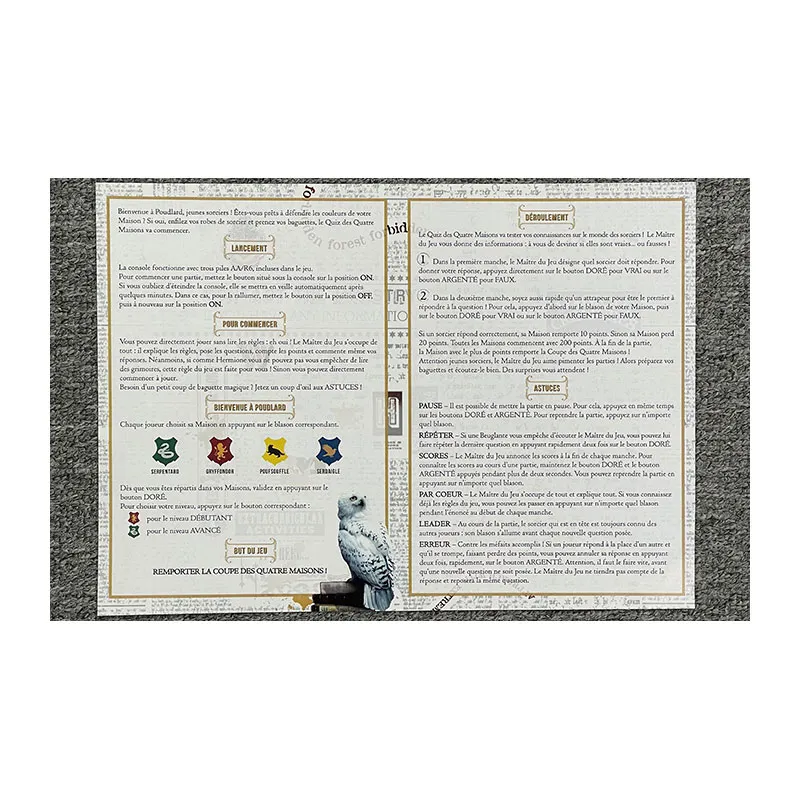 Jeu d'ambiance Le quiz des 4 maisons Harry Potter - 8+-13