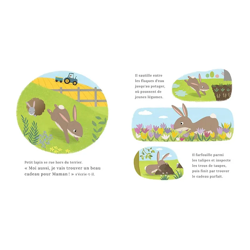 Le printemps de petit lapin - 36m+-2