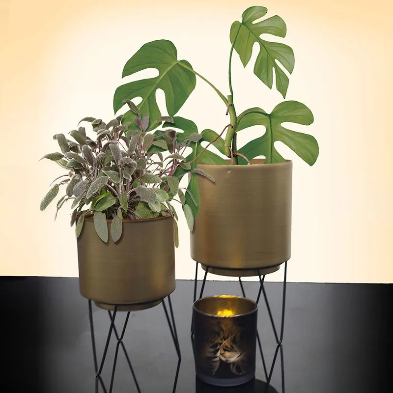 2 Pots de fleur pieds filaires - 13/11cm-2