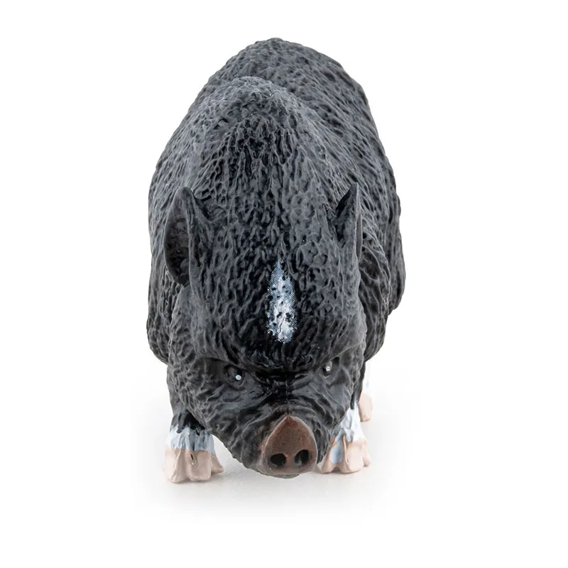 Cochon Vietnamien - 2,7x7,4x4,4cm-2