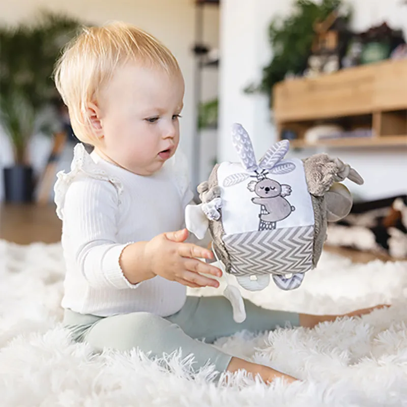 Cube d'activité Koala Coco - 0m+-3