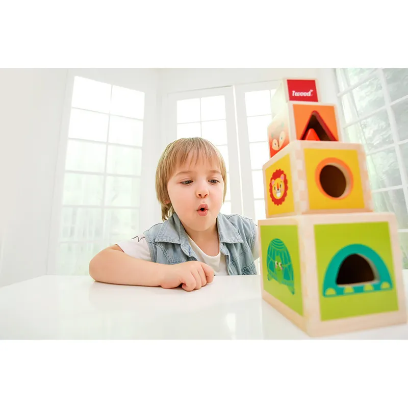 Pyramide de cubes - 12m+-4