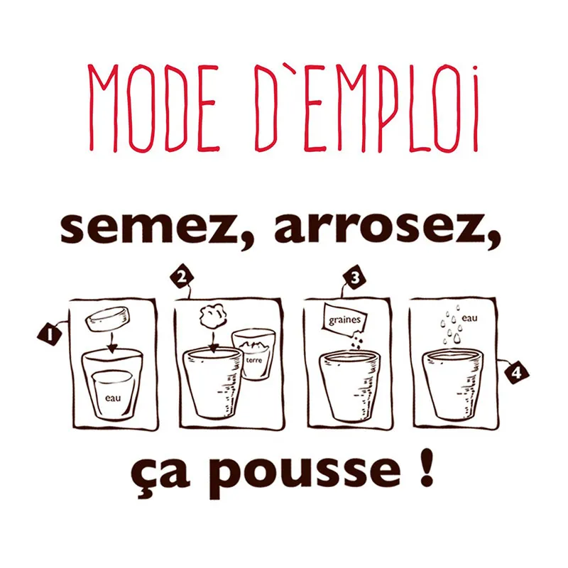 Kit message plante - Basilic Bonne chance-1