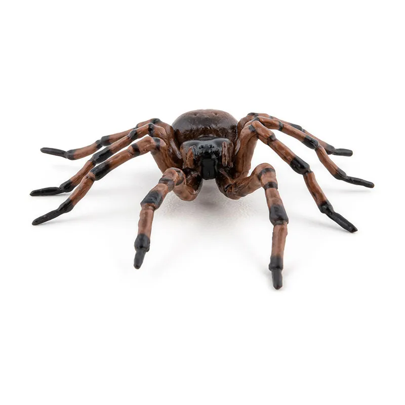 Araignée commune - 6,3x6,1x2,4cm-2