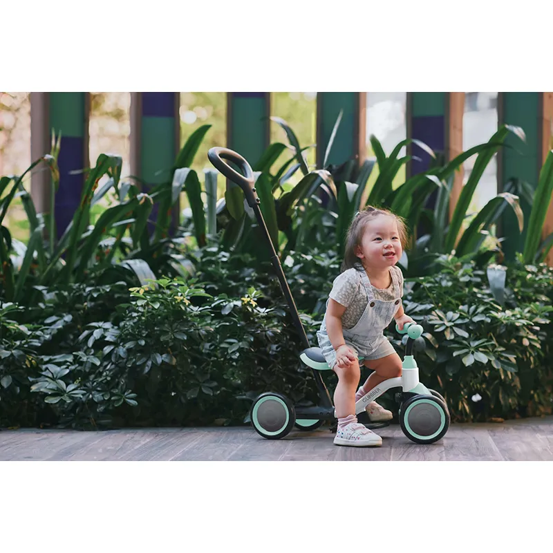 Porteur évolutif 3en1 Deluxe Menthe - 12m+-6