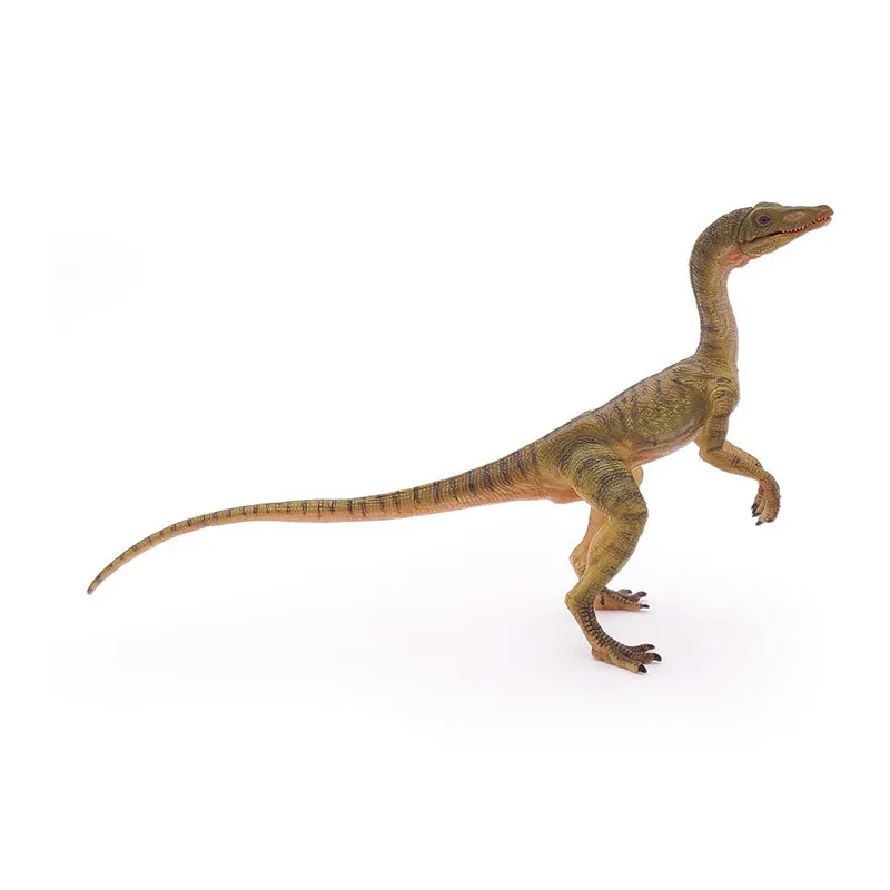 Compsognathus - 17x12cm-4