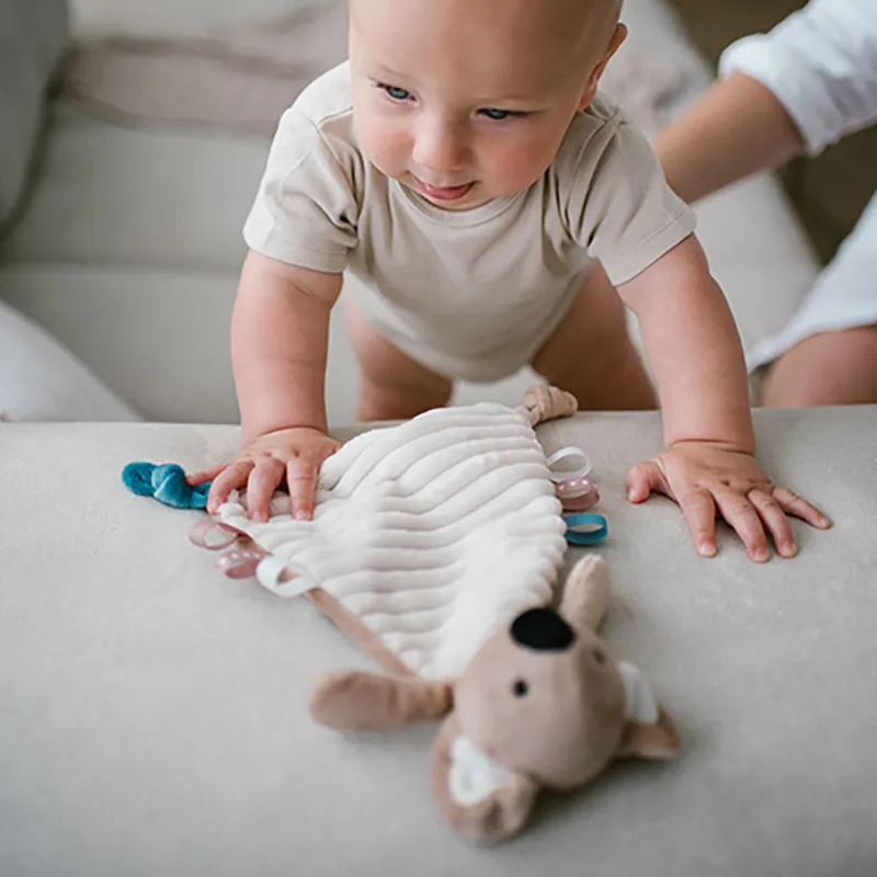 Doudou plat Koala Charlie - 0m+-4