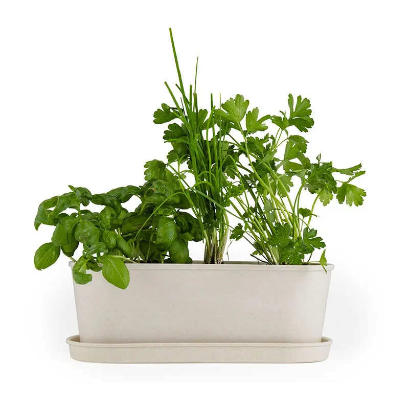 Jardinière bambou Aromates - 27x10x11cm-7