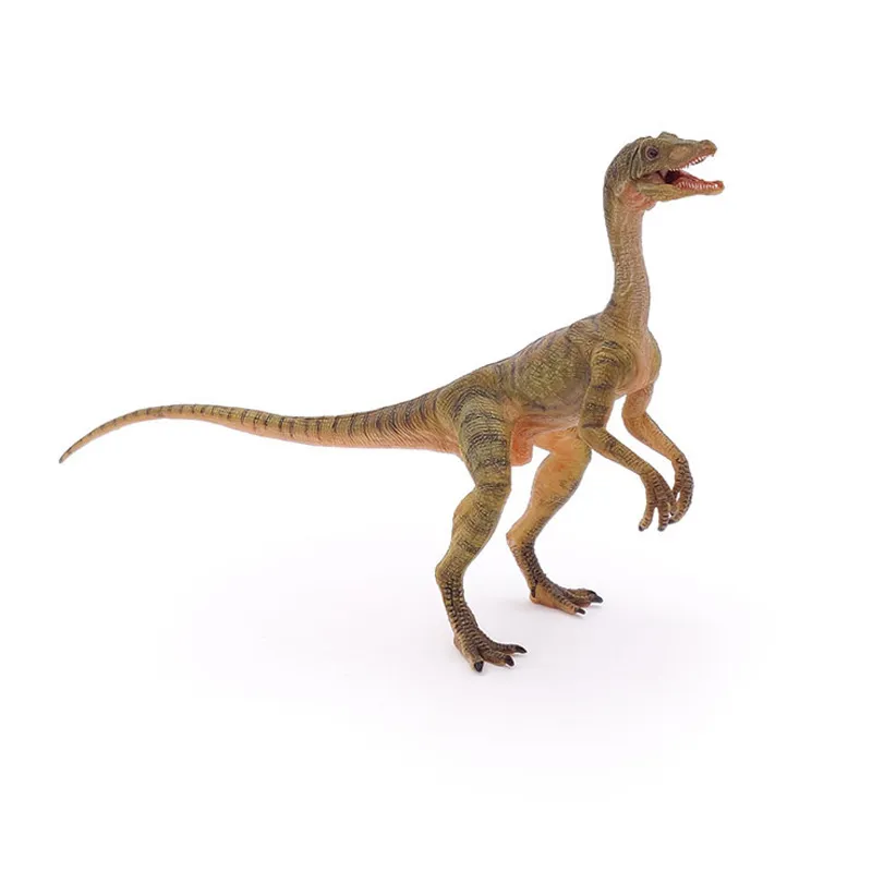 Compsognathus - 17x12cm-3